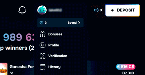 Activate the bonus and start playing
