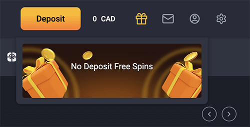 Activate the no deposit bonus Activate the no deposit bonus