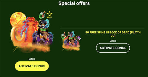 Activate the bonus Activate the bonus
